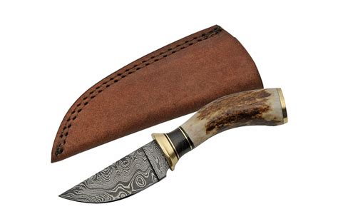 Damascus Steel Hunting Knife Rite Edge 3.25" Blade Stag Handle + Leather Sheath