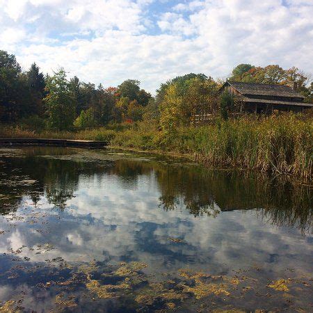 A Body Of Water Surrounded By Trees And Grass With Clouds In The Sky