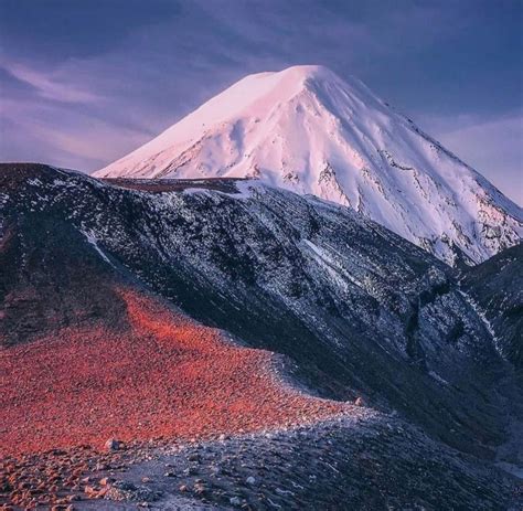 Turangi’s Top Choices | Tongariro Panda Shuttle Limited