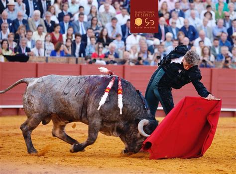 Del Toro Al Infinito Apuntes Al Natural El Indulto Por Francisca Garc A