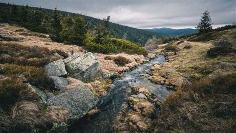 🌊Река Эльба: притоки, исток, устье, карта, фотогаллерея