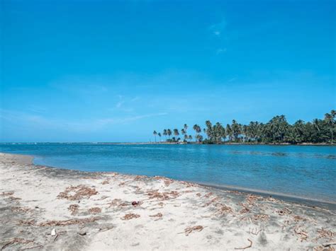 Playa Para So Tabasco Lo Que Debe Saber