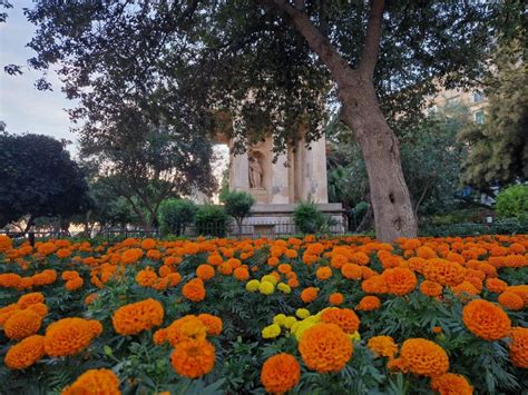 Valletta Stadtrundgang In Einer Kleinen Gruppe Getyourguide