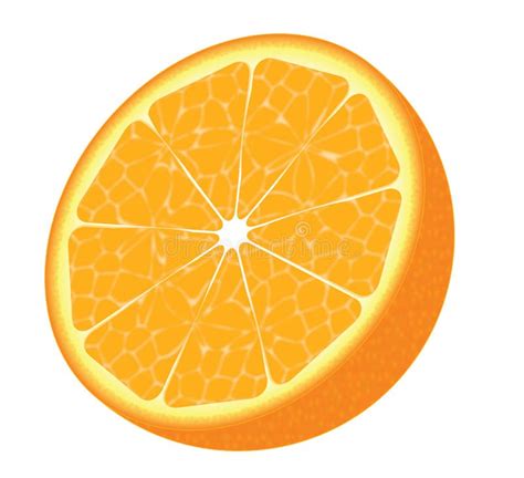 Mitad De Una Naranja Ilustraci N Del Vector Ilustraci N De Alimento