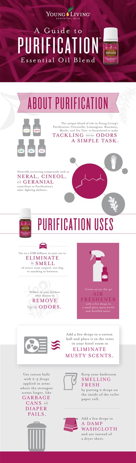 A Guide To Purification Essential Oil Blend Vital 180 Community