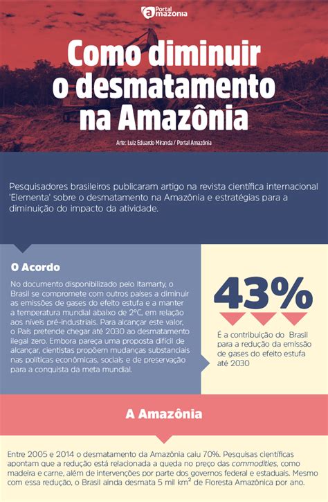 Como Diminuir O Desmatamento Na Amaz Nia Portal Amaz Nia