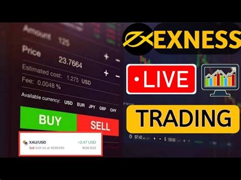 Exness Live Trading I Best Trusted Forex Broker In India