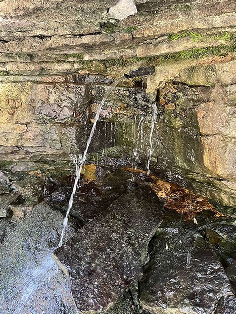 Gladie Springs Falls Wilderness With Ryan