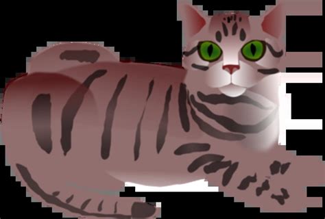 Silver Spotted Tabby Cat Illustrations To Download For Free Freeimages