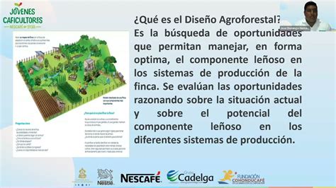 Tema Diagnóstico Y Diseño De Sistema Agroforestales Youtube