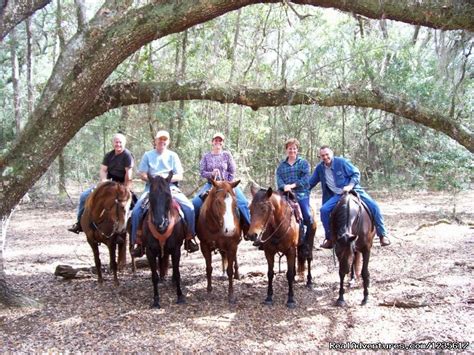 Horseback Riding and Trail Rides State Parks, Ocala, Florida Horseback ...