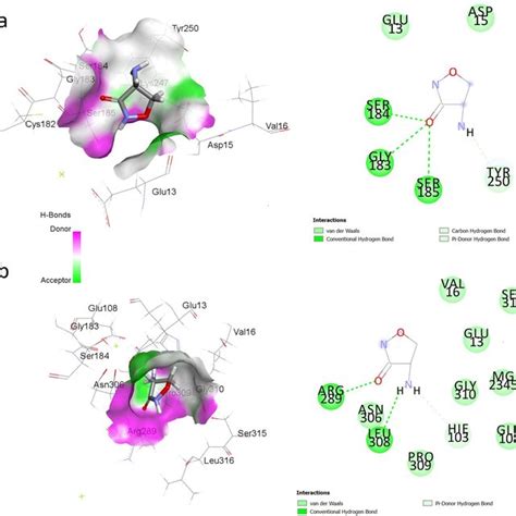 Mode Of Interaction Of Apigenin And Quercetin With The D Alanine