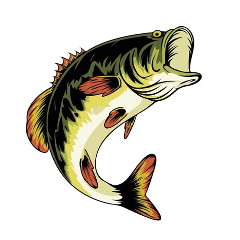 Bass Fish Vector Illustration 8450894 Vector Art At Vecteezy