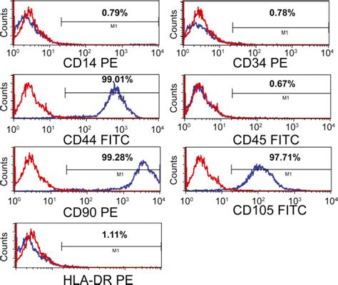 Surface Marker Expression In Mscs Mscs Were Confirmed By Flow Download Scientific Diagram