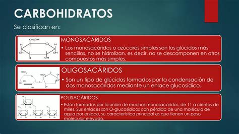 Biomol Culas Org Nicas Carbohidratos L Pidos Prote Nas Cidos