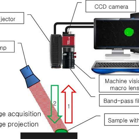 A The Icg Fluorescence Image By The Ccd Camera B Projection Of The