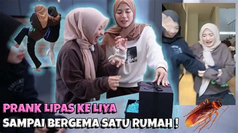 Prank Biawak Lipas Hidup Habis Jeritan Bergema Satu Rumah Youtube