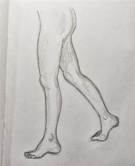 Human Leg Drawing