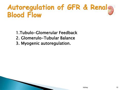 Ppt Physiological Control Of Gfr Renal Blood Flow Powerpoint