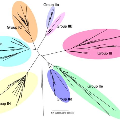 Phylogenetic Tree Of Wrky Domains From Ten Species The Amino Acid