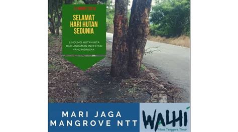 Walhi Sebut Spirit Hari Hutan Sedunia Belum Ada Di Benak Gubernur Ntt