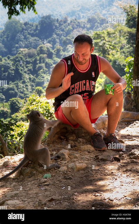 Indonesia Lombok Mataram Pusuk Pass Monkey Forest Tourist Feeding