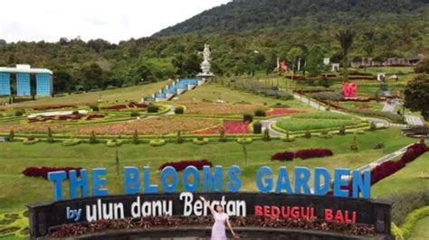 Bloom Garden Bedugul Bali Youtube