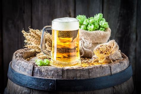 Koud Bier Met Schuim Tarwe En Hop Op Oud Vat Stock Foto Image Of