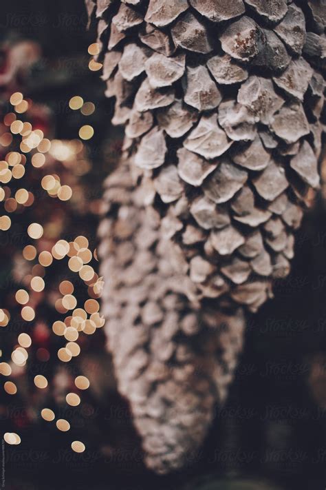 A Large Natural Pine Cone Hanging In Front Of Blurred Christmas Lights