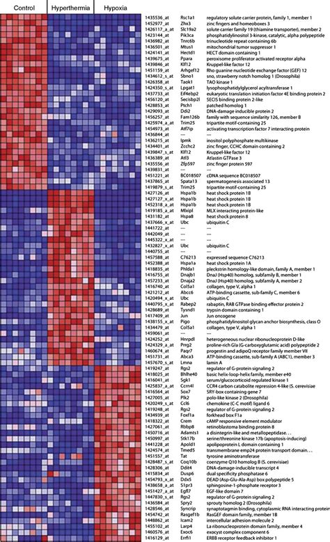 Matrix Heat Map Showing Gene Expression Level Probes For Genes Are