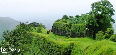 Day Trek To Karnala Fort In Karnala Bird Sanctuary - Trodly