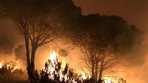 Risc Extrem D Incendi A Catalunya Cinc Parcs Naturals Restringits I