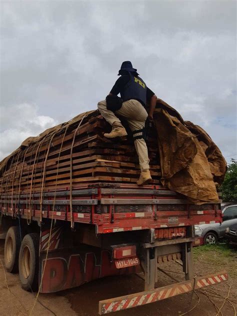 PRF apreende carga de madeira ilegal na BR 230 em Altamira Pará G1