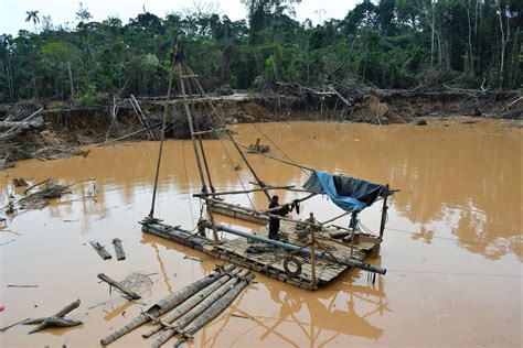 Destruyen Balsas Y Campamentos De Mineros Ilegales En Tambopata