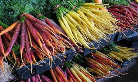 Growing Carrots Grow A Rainbow Of Vegetables Epic Gardening