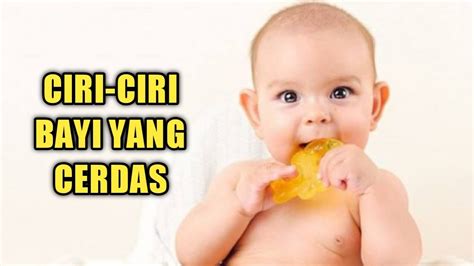 Ciri Bayi Cerdas Usia Bulan Tipe Fauna Bagian Tengah