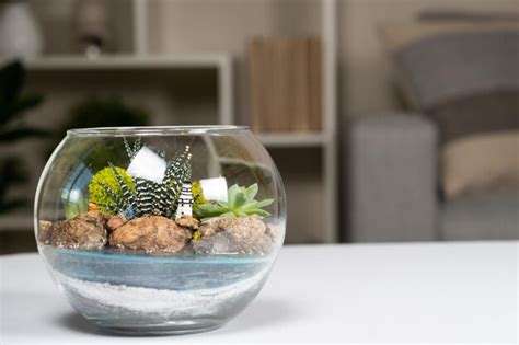 Premium Photo Florarium A Glass Round Vase With Succulents On The