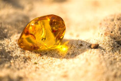 Bursztyn na plaży zdjęcie stock Obraz złożonej z gemstone 93667842