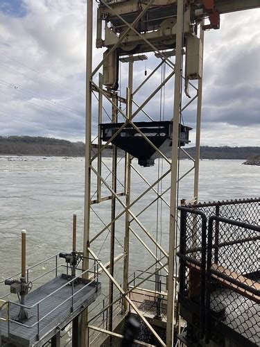 Invasive Fish From Conowingo Dam Donated To Food Banks Science