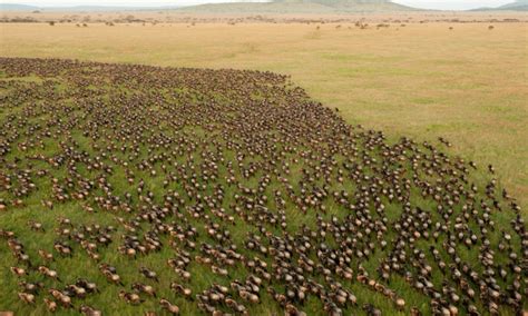 Isebania Border Crossing Kenya Tanzania Guide