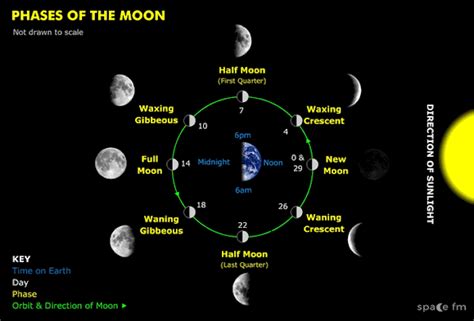 WHY DO WE CALL NEW MOON DAY ‘AMAVASYA’? (Post No.10,423) | Tamil and Vedas