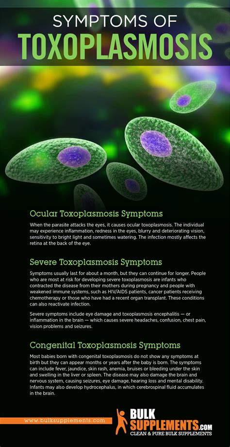 Top 174 + Toxoplasmosis symptoms in animals - Electric-kingdom.net