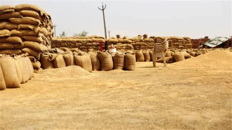 Wheat MSP Increased By Rs 150 Per Quintal In Biggest Hike In Last 9