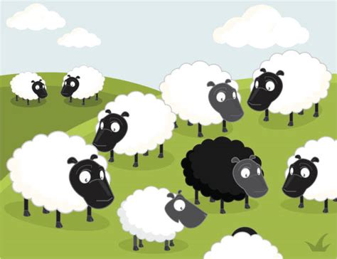 Flock Of Sheep Illustrations Royalty Free Vector Graphics And Clip Art