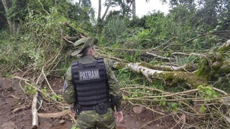 Brigada Militar Flagra Destrui O De Vegeta O Nativa No Interior De