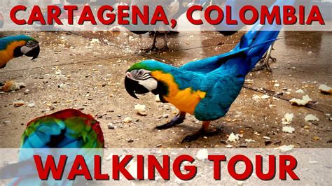 Cartagena Colombia Cruise Port Walking Tour YouTube