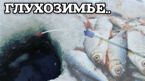 Ловля плотвы на мормышку! Глухозимье. #плотва #мормышка #рыбалкансо ...