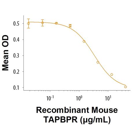 Recombinant Mouse TAPBPR Fc Chimera Protein CF 11254 TP Bio Techne