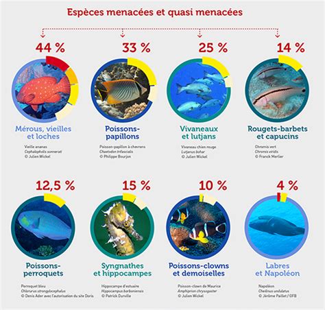 Inpn Actualit S Premi Re Liste Rouge Des Poissons R Cifaux De La