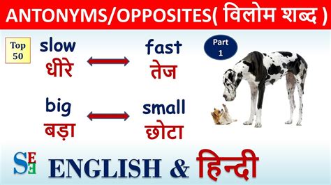 Antonyms In English And Hindi विलोम शब्द Opposite Words In Hindi